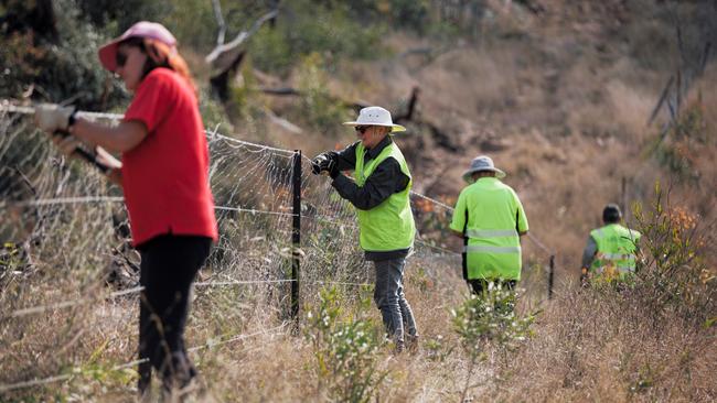 The Mauch family’s fence being repaired by Rural Aid volunteers after it was destroyed by a bushfire. Photo: Contributed / Rural Aid