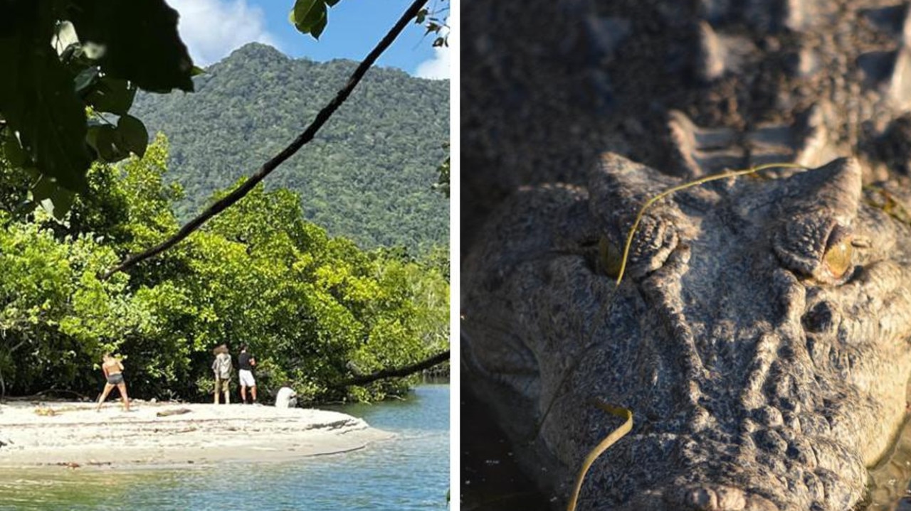 ‘Stupid’ act in crocodile-infested creek