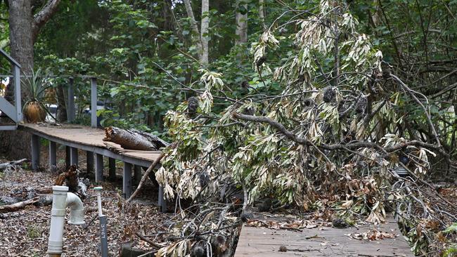 Couran Cove residents have been without water, electricity, and other services for several days due to legal and body corporate disputes. A broken tree blocks a walkway. Picture: Tertius Pickard