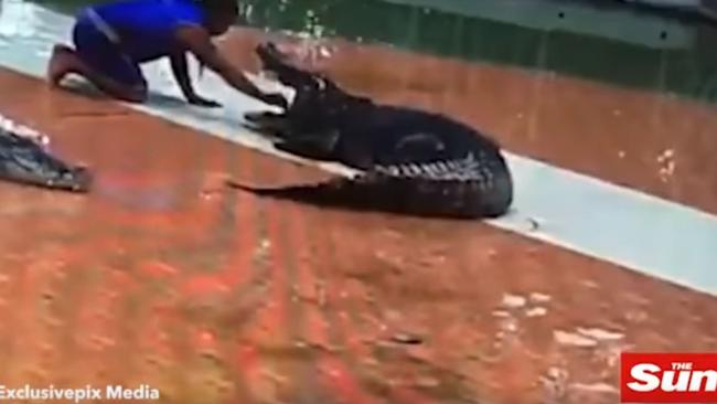 The keeper had a very lucky escape after this crocodile turned on him during a live show. Picture: The Sun