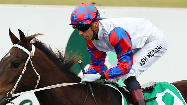 Ashley Morgan looks set for a big day at Grafton. Picture: Getty Images