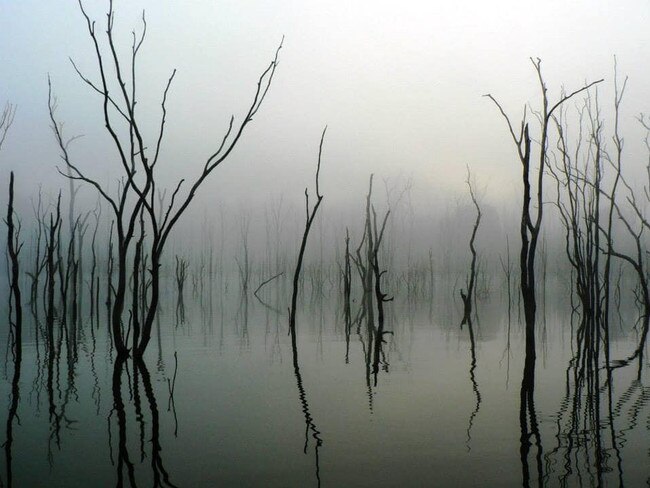 Lake Monduran (above) will play host to the expedition as the most central location for Queensland's alien community. Image: Julie Whalley