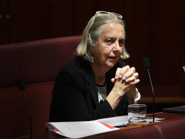 Greens Senator Lee Rhiannon says the political donations disclosure system is ‘utterly inadequate’. Picture: AAP Image/Mick Tsikas