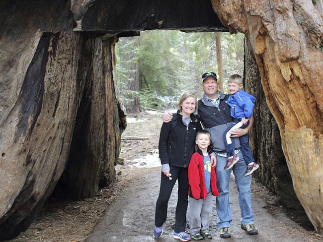 California’s famous drive-through tree has toppled over in a massive storm. Picture: AP