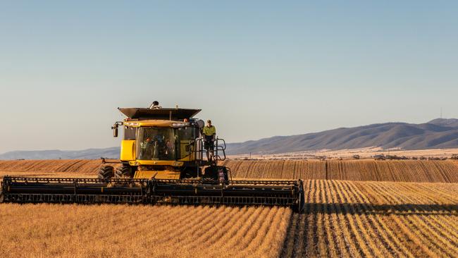 Cutting edge: Andrew Sargent says the capture of quality data can lead to innovation not only for cropping enterprises, but for all farming sectors.