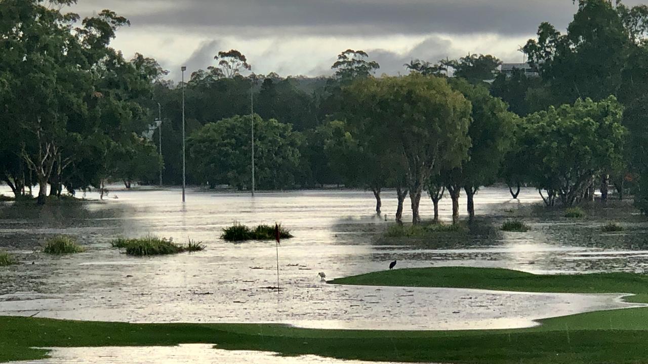 Flooding at Carrara. Picture: Glenn Hampson