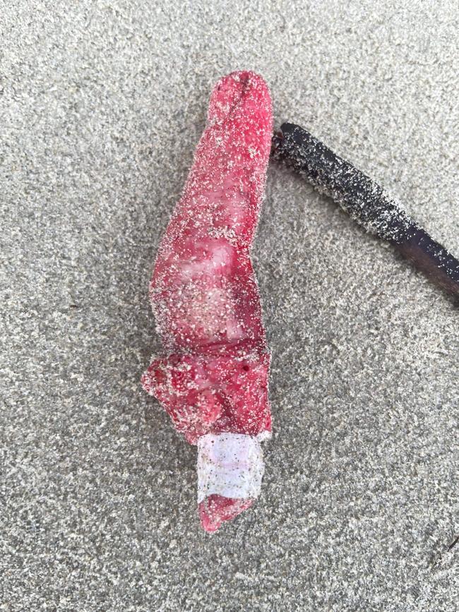 The offending ‘finger’ on Port Douglas’ Four Mile Beach. Picture: Supplied