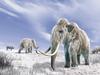 Two mammoth in a field covered of snow, with some bushes and a few bisons. Blue sky with clouds in the background.