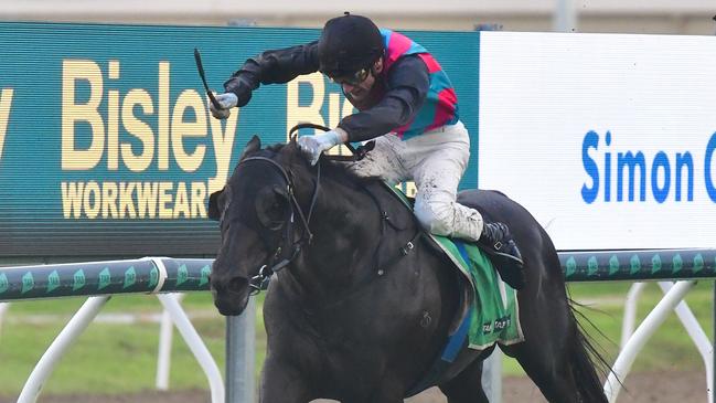 Blake Shinn rides Antino to a dominant win in the Hollindale Stakes at the Gold Coast. Picture: Bethany Allday/TracksidePhotography