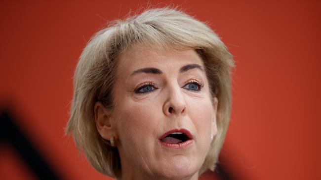 Senator Michaelia Cash says the attacks on Jewish people are an attack on all Australians. Picture: NewsWire/Nikki Short