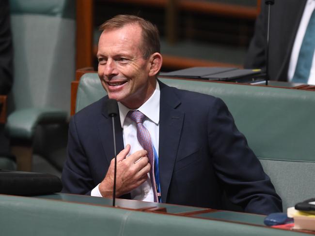 Tony Abbott is accused of causing dissent among the ranks. Picture Kym Smith. Picture: AAP