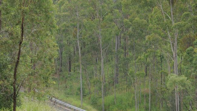 Family of the missing motorcyclist near the spot where the motorcycle was found along the Gin Gin Mount Perry road.Photo: Mike Knott / NewsMail. Picture: Mike Knott