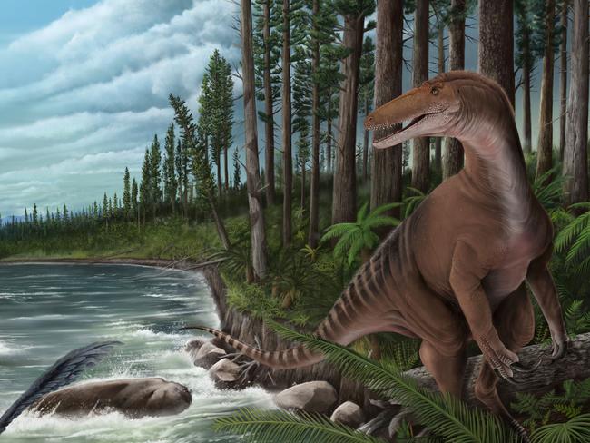 The discovery has led to the confirmation of the existence of large carnivorous dinosaurs on what would become the Australian continent. Picture: Jonathan Metzger/Supplied