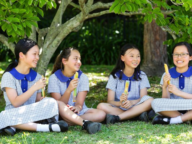 Hornsby North Public School students performed very well, coming in at 8th in the rankings, edging out Knox Grammar at nine. Picture: Gaye Gerard