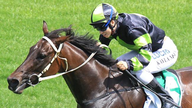 Kayla Nisbet looks a good chance of taking out the TAB Jockeys Challenge at Wagga.