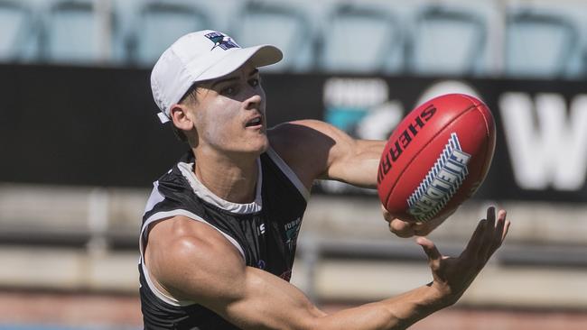 Connor Rozee during Port Adelaide training at Alberton Oval. Picture Simon Cross