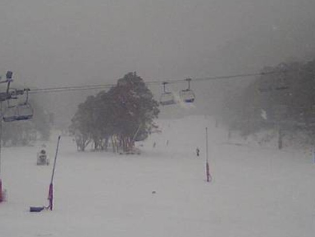 Told ya! This is the bottom of Thredbo, where 20cm has now fallen. Up top they got more than double that and it’s still snowing like mad.