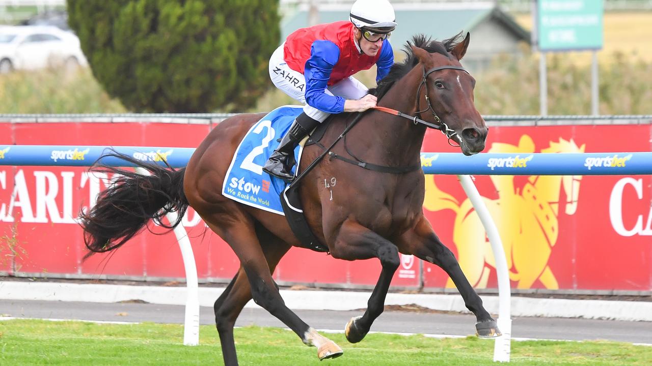 Classy filly Ameena has returned to Victoria and will contest the Thousand Guineas Prelude on Saturday at Caulfield. Photo: Pat Scala/Getty Images.