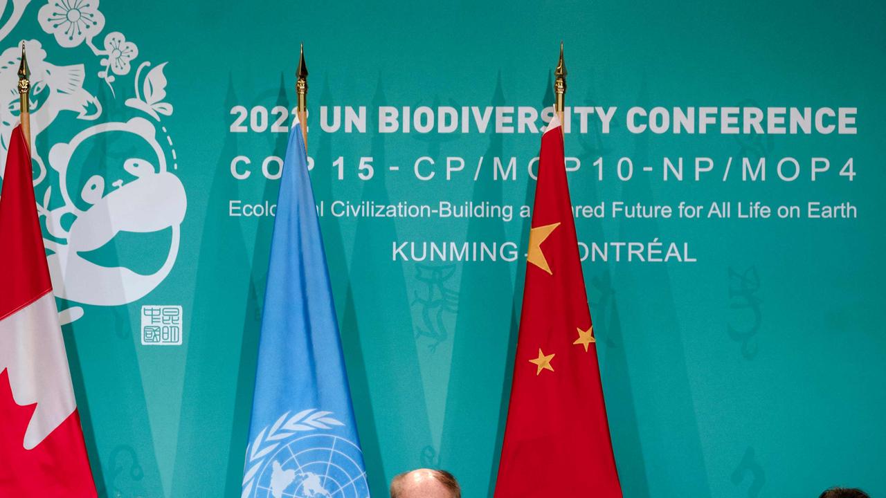 The agreement commits to protecting 30 per cent of the world’s oceans and 30 per cent of its land by 2030 and ending extinction of known species by 2050. Picture: Andrej Ivanov / AFP)