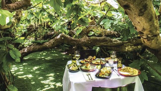 Enchanted Fig Tree Lunch on Kangaroo Island. Picture: SATC