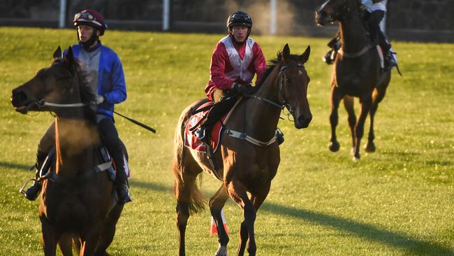 Arcadia Queen (centre) is in great shape for the Cox Plate. Picture: Getty Images