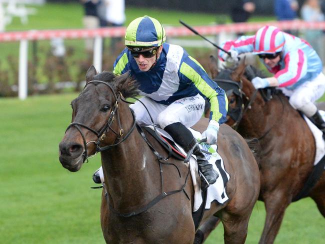 Floating Artist (GB) ridden by Thomas Stockdale wins the Xtreme Freight Handicap at Moonee Valley Racecourse on August 12, 2023 in Moonee Ponds, Australia. (Photo by Ross Holburt/Racing Photos via Getty Images)