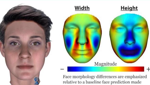 Xanthe Mallett’s composite profile taken from her DNA.