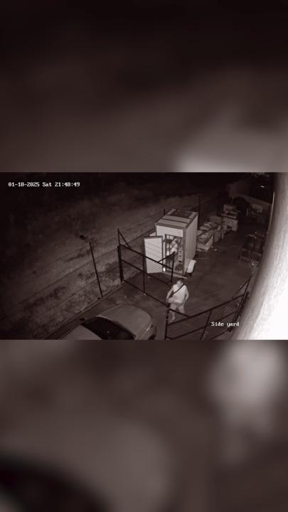 Man steals meat from Darwin business