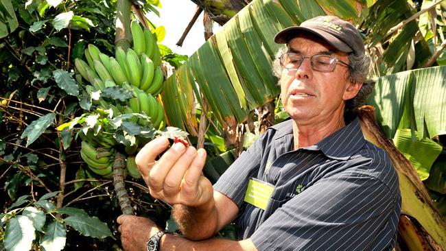 Eco House and Garden’s senior ecologist Peter Rutherford.