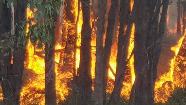 Bushfires have ravaged swaths of Tasmania and Victoria, including this one at Benloch. Picture: Gisborne CFA 