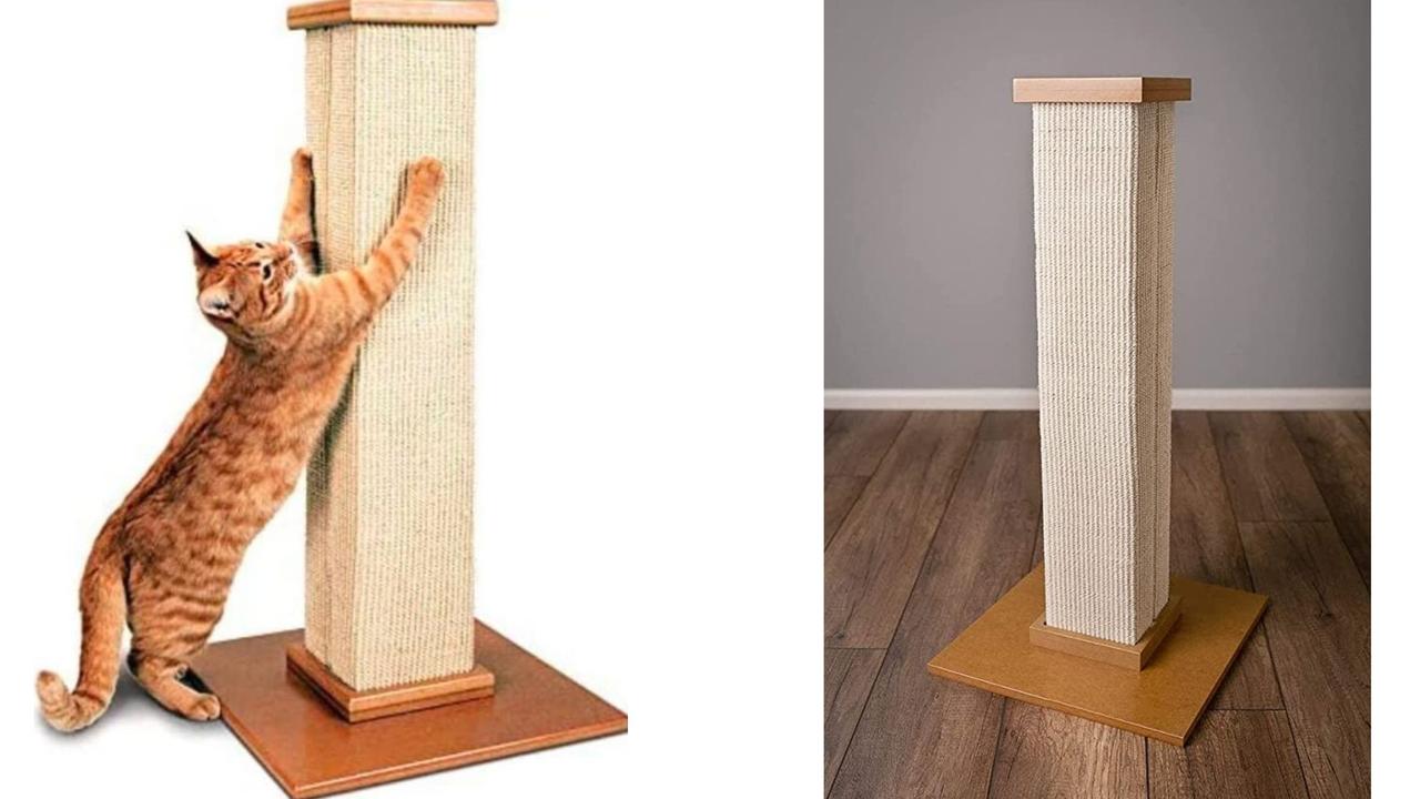 Best cat 2024 scratching post ever