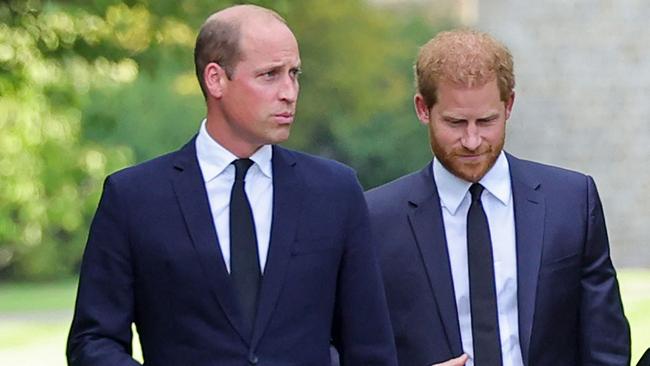 Prince William, Prince of Wales and Britain's Prince Harry. Picture: Chris Jackson/POOL/AFP