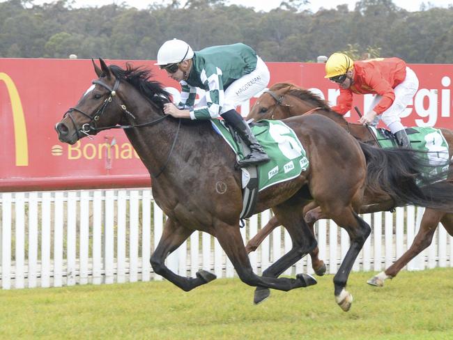 Pocketing can end the day on a winning note at Kembla. Picture: Bradley Photos