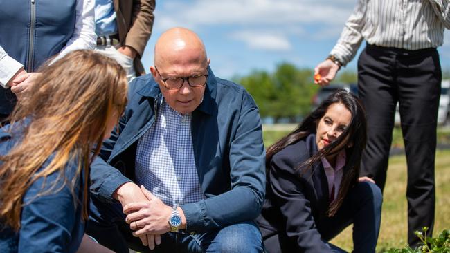 TASMANIA, AUSTRALIA – NewsWire Photos – Sunday, 10 November 2024: Leader of the Opposition Peter Dutton at Littlewood Berry Farm in Richmond, Tasmania. Picture: NewsWire / Linda Higginson