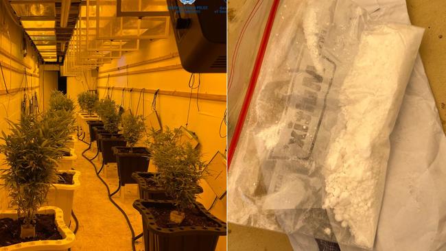 Suspected cocaine and 18 cannabis plants were found at the property, police say. Picture: SA Police