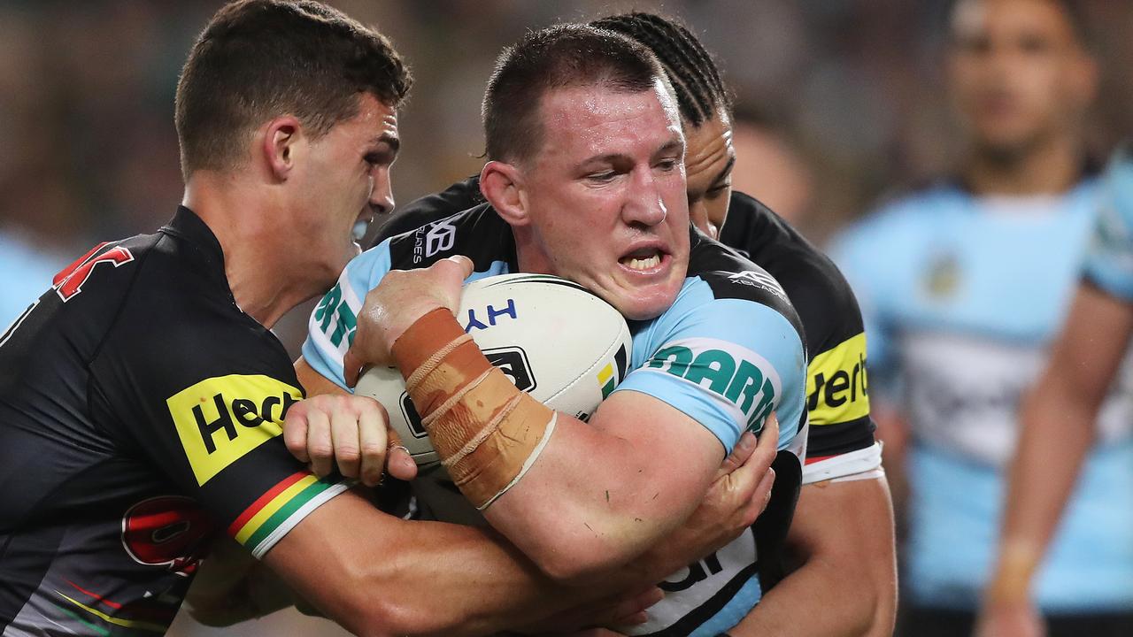 Paul Gallen has reportedly signed on for another season with Cronulla.