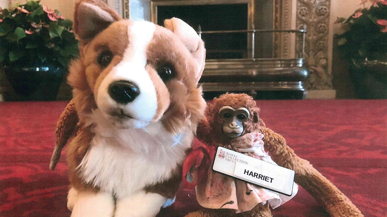 Harriet and her new friend, Rex the corgi. Picture: supplied