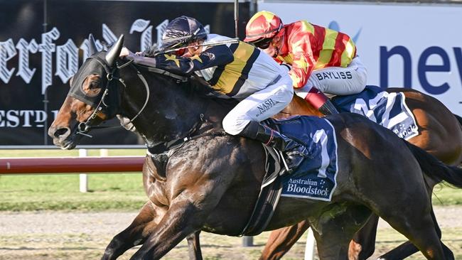 Here To Shock winning the Cameron Handicap at Newcastle for jockey Nash Rawiller and trainers Ben, Will and JD Hayes, September 20, 2024 Picture: Bradley Photos