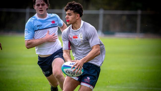 NSW Waratahs White v Queensland Reds Grey. Picture Tom Primmer/QRU.