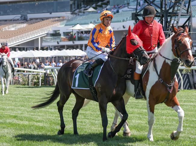 Imperatriz on the way to the barriers prior to the running of  the Yulong Newmarket Handicap at Flemington Racecourse on March 09, 2024 in Flemington, Australia. (Photo by George Sal/Racing Photos via Getty Images)