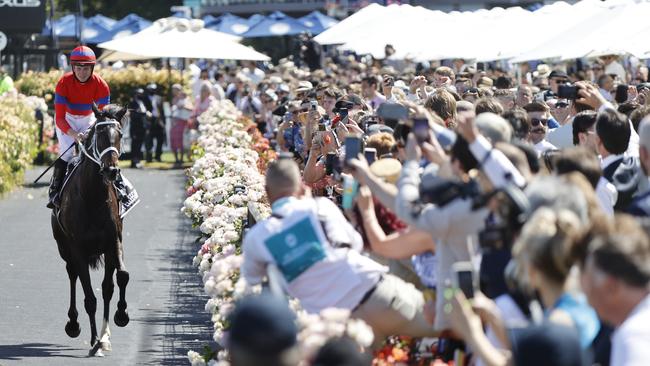 Melbourne Cup winner Verry Elleegant, ridden by James McDonald returns to scale. Picture: Alex Coppel