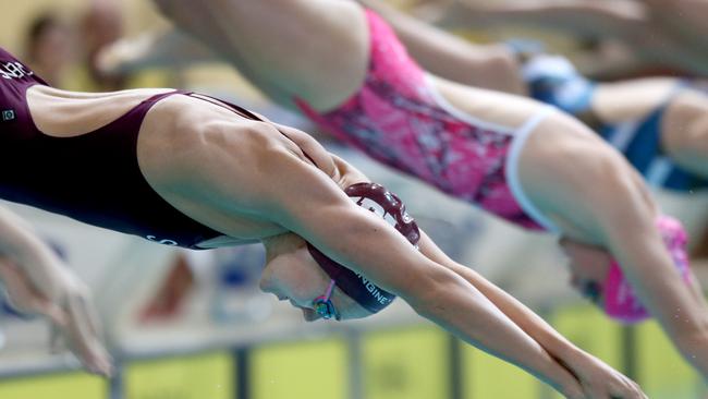 Ariarne Titmus in action at the Queensland Girls Secondary Sports Association 2018 swimming carnival, held at the Sleeman Sports Complex. Picture: AAP/Steve Pohlner