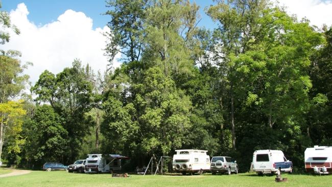 Cedar Grove camping area Amamoor State Forest, Qld
Pack your togs, hiking boots and mountain bike and get in early to snag your spot at this popular campground in Amamoor State Forest, near Gympie. Set up camp beside the creek, and after a day of rainforest walks and swimming, you can watch movies between the red cedars and bunya pines. Forget the choc top and make s’mores over the campfire, with designated fireplaces provided. 