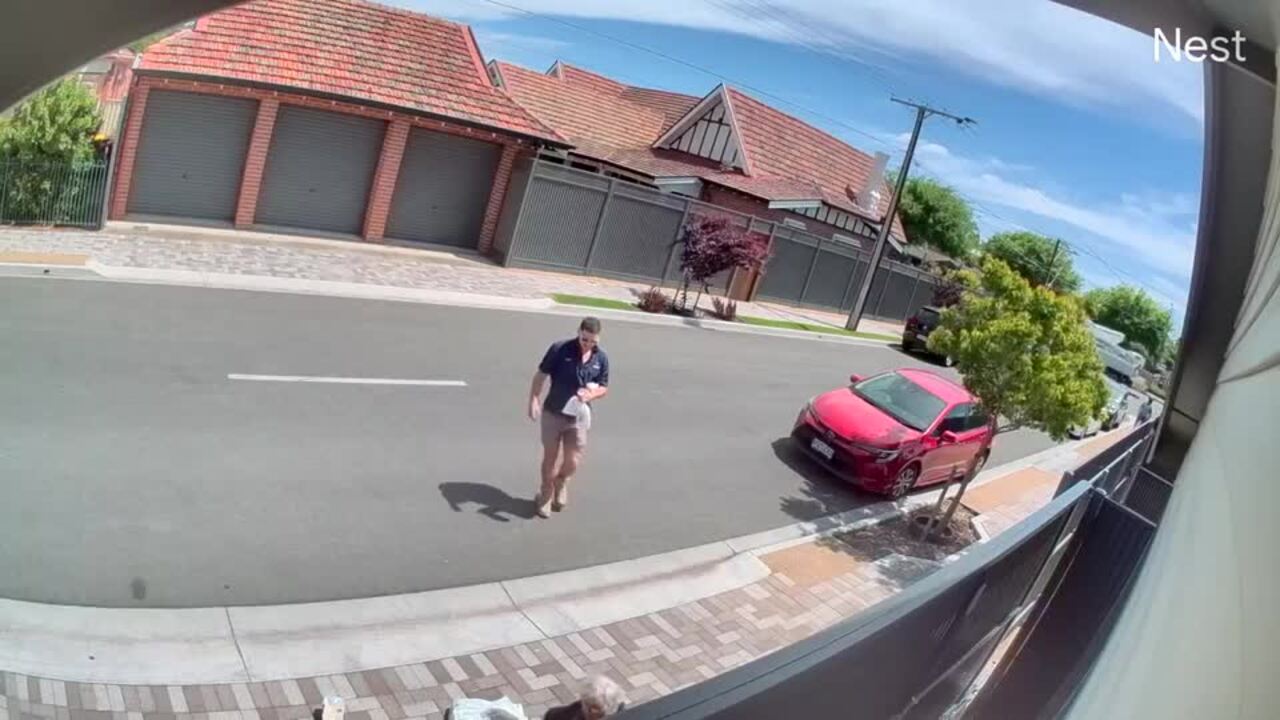 Bike thug robs elderly woman (7News)