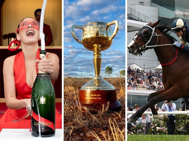 Ultimate mug punters guide to the Melbourne Cup graphic small