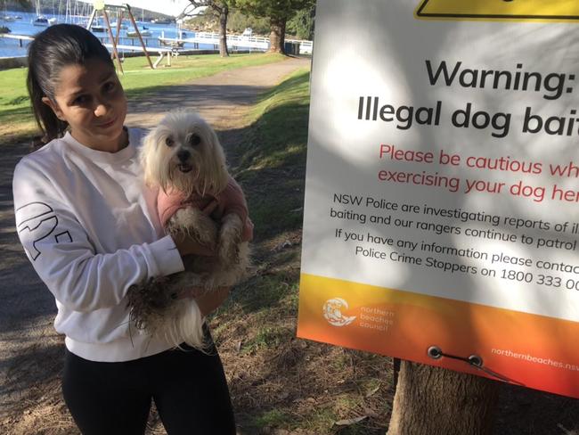 Adriana Garcia, of Balgowlah, with her dog Suzy, at Forty Baskets Beach, at Balgowlah Heights on Friday, where Northern Beaches Council has put up signs warning dog owners after receiving reports of potential attempts to poison dogs at the reserve on North Harbour. Picture: Jim O'Rourke