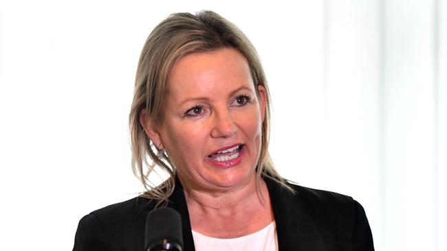 Environment Minister Sussan Ley. Picture: AAP