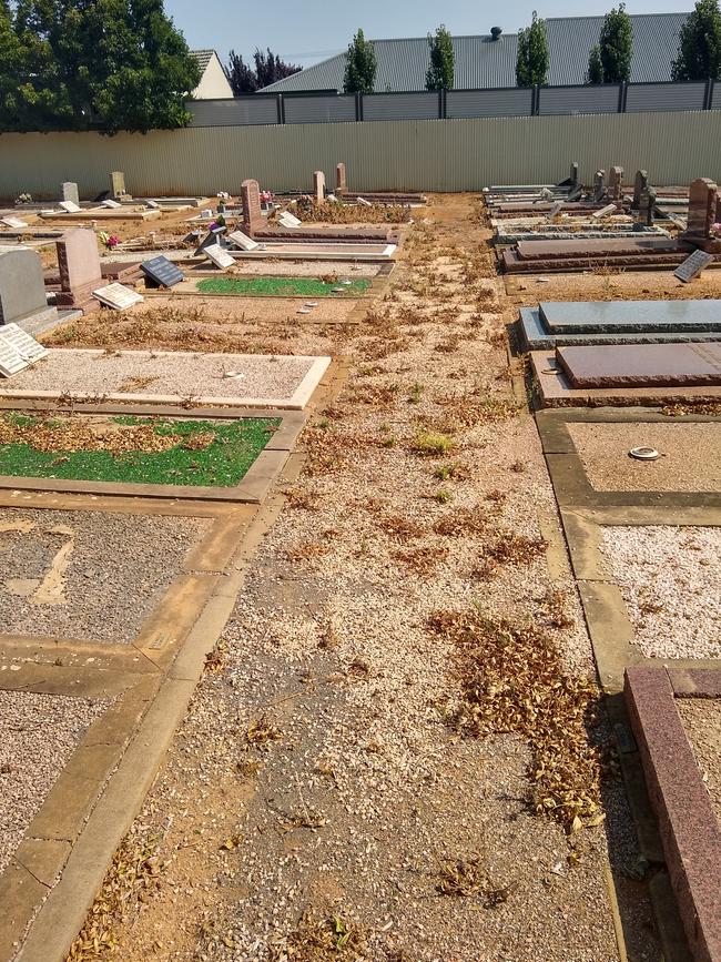 Dry and weed-covered paths lead to burial plots.