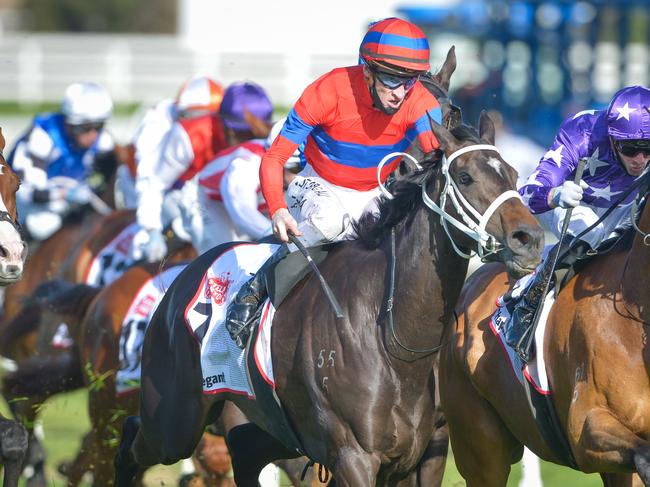 Very Elleegant ridden by Mark Zahra wins theStella Artois Caulfield Cup on Caulfield Cup Day at Caulfield Racecourse on October 17, 2020 in Caulfield, Australia. (Reg Ryan/Racing Photos via Getty Images)