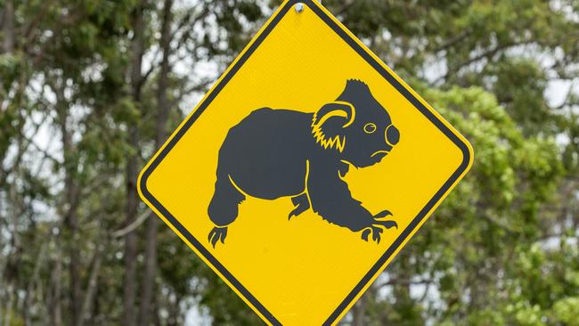 Generic photograph of koala sign in Warner, Friday, November 17, 2017 (AAP Image/Richard Walker)